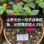 山东出台一揽子政策措施，加强高技能人才队伍建设（图1）