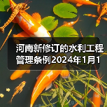 河南新修订的水利工程管理条例2024年1月1日起施行（图4）
