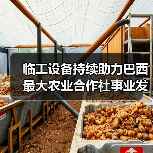 临工设备持续助力巴西最大农业合作社事业发展（图2）