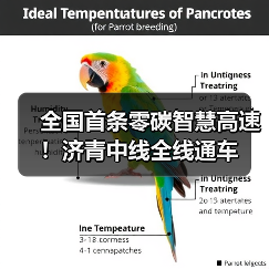 全国首条零碳智慧高速！济青中线全线通车（图2）