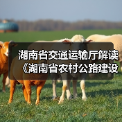 湖南省交通运输厅解读《湖南省农村公路建设管理办法》（图1）