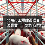 北海市工程建设项目“验登合一”实施方案(试行)印发（图1）