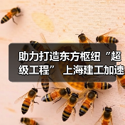 助力打造东方枢纽“超级工程” 上海建工加速推进工程建设（图4）