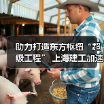 助力打造东方枢纽“超级工程” 上海建工加速推进工程建设（图3）