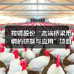 鞍钢股份“高端桥梁用钢的研制与应用”项目成果通过鉴定（图1）