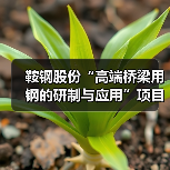 鞍钢股份“高端桥梁用钢的研制与应用”项目成果通过鉴定（图2）