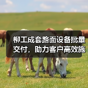 柳工成套路面设备批量交付,助力客户高效施工!(图1) 柳工成套路面设备批量交付,助力客户高效施工!(图1)