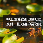柳工成套路面设备批量交付,助力客户高效施工!(图4) 柳工成套路面设备批量交付,助力客户高效施工!(图4)
