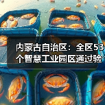 内蒙古自治区：全区53个智慧工业园区通过验收！（图4）